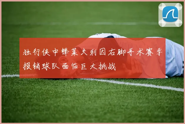 独行侠中锋莱夫利因右脚手术赛季报销球队面临巨大挑战