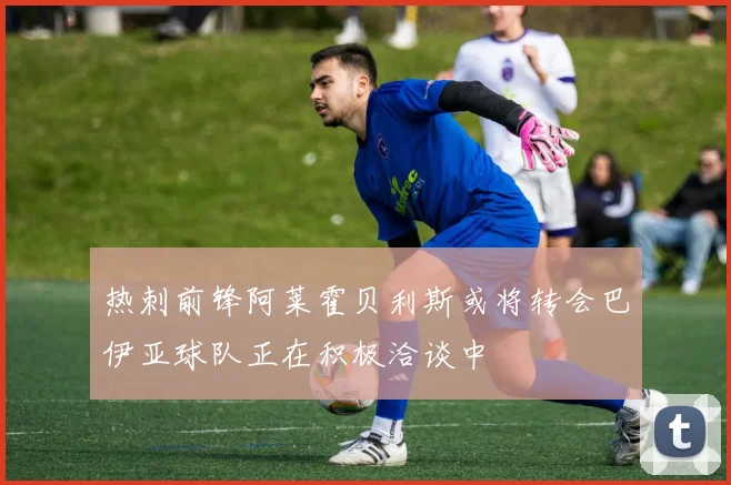 热刺前锋阿莱霍贝利斯或将转会巴伊亚球队正在积极洽谈中