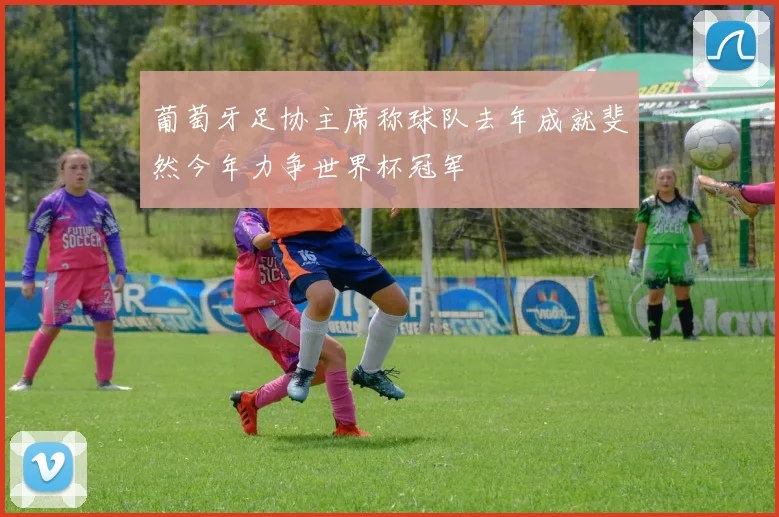 葡萄牙足协主席称球队去年成就斐然今年力争世界杯冠军