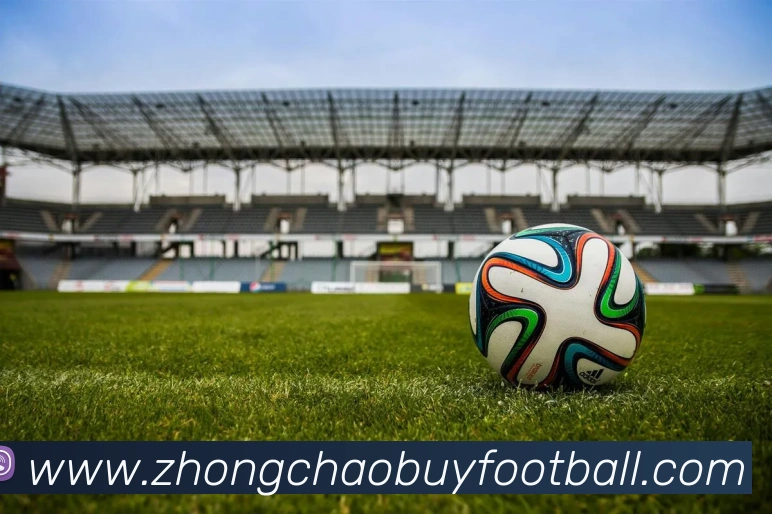 未来规划