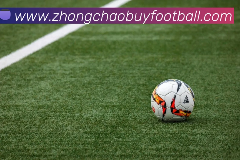 App Interface Preview