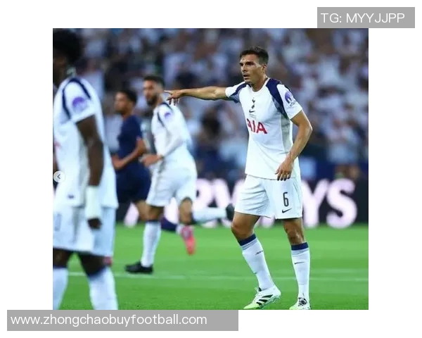 英媒透露本坦库尔将续约热刺同时球队有意买断帕利尼亚 英媒透露本坦库尔将续约热刺同时球队有意买断帕利尼亚